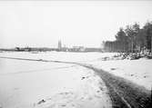 Landskapsvy med Uppsala i fonden, 1901