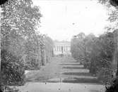 Botaniska trädgården med Linneanum, Uppsala 1878