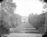 Botaniska trädgården med Linneanum, Uppsala 1878
