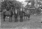 Gruppbild, förmodligen far och son, iklädda kostymer, visar upp varsin häst.