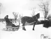 Häst ,släde, kusk,snö