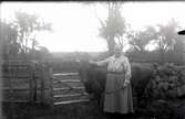 En kvinna står vid en grind och håller en ko