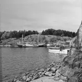 Fiskevik, Stora Askerön