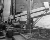 LL860 ZITA på Islandsfiske