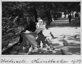 Hasselbacken i Uddevalla 1939