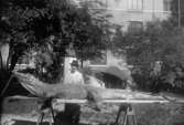 Montering av nilkrokodil för Bohusläns museums räkning i juli 1918