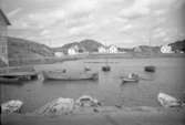 Stockevik på Skaftö, 1953.