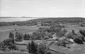 Jordbrukslandskap vid Berga by på Tjörn 1955