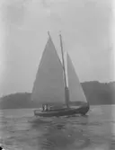 Enl. text i blå bok: 