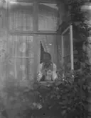 Enl. text i blå bok: 