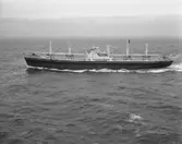 Fartyg 192 M/S London Craftsman.