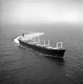 B/C Kollgeir DWT. 30.800
Rederi Odd Berg, Oslo Norge
Kölsträckning 65-05-20 Nr. 273
Leverans 66-03-11
Bulkfartyg