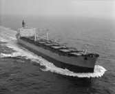 OBO Thorild DWT. 54.600
Rederi Tönnewolds Tankrederi A/S, Grimstad Norge
Kölsträckning 78-05-02 Nr. 306
Leverans 79-09-28
Obofartyg.