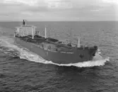 M/T Viking Osprey D.W.T. 34.800
Rederi Norse Group (J P Röed), Singapore
Kölsträckning 80-04-28 Nr. 315
Leverans 81-02-05
Tankfartyg