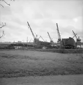 Stapelbädd II, Kasen.