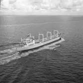 Fartyg nr. 200 B/C Ariel, bulkfartyg.