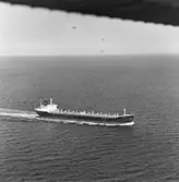 Fartyg nr. 274 B/C Vardaas, bulklastfartyg.