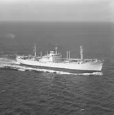 Fartyg nr. 543 M/S Fauskanger, lastartyg.