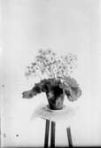 Blommande krukväxt på piedestal