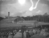 Växthus, Trädgårdsföreningen i Göteborg. I förgrunden en stensatt gångstig och en plantering