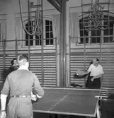 Bordtennis i Uddevalla Idrottshall