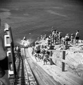 Enligt fotografens notering: 