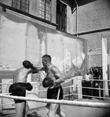 Boxaren Olle Tandberg i Uddevalla 1948
