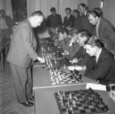 Schackturnering 1955