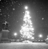 Julgranen och dubbelstatyn på Kungstorget i Uddevalla den 23 december 1955