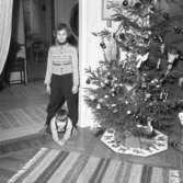 Barnhemmet Julaftonen 1955