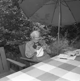 En sommardag i trädgården, äldre dam stickar