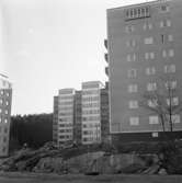 Nya höghus på Bohusgården 1957