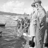 Snörpvadsfiske vid Slussen 1958.