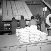 Kontroll och packning av ägg på Äggcentralen, Uddevalla, i mars 1959