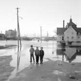 Översvämning av området runt badhuset i Uddevalla, tre pojkar står vid vattenkanten