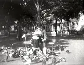 Evald och Kurt Widell i Paradisparken 1908