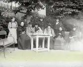 Bonsteds m.fl. i trädgården, Den 12 juni 1895.