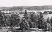 Lingatan, Hallinden