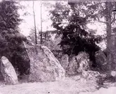 Enligt text som medföljde bilden: 