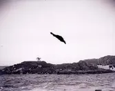 Enligt text som medföljer bilden: 