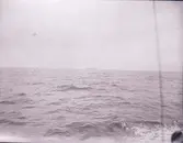 Enligt text som medföljde bilden: 