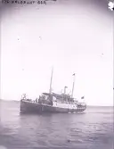 Enligt text som medföljde bilden: 