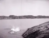 Bad i Gullmarsfjorden