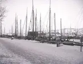 Enligt text som medföljde bilden: 