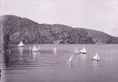 Kappsegling med modellbåtar 7 juli 1901