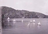 Kappsegling med modellbåtar 7 juli 1901
