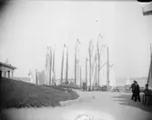 Enligt text som medföljde bilden: 