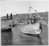 Båten ELVIRA
