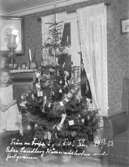 Enlig notering på fotot: Från en tripp i juletid 13/1 1923. Elsa Sandberg, Hällevadsholm, vid julgranen