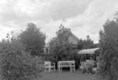 I en villaträdgård i Stenungsund hösten 1945. 